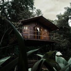 Maison Perchée au Milieu des Arbres